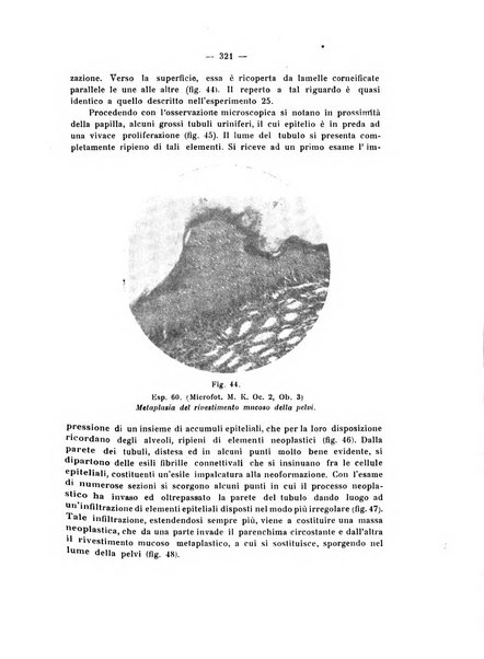 Annali di clinica medica e di medicina sperimentale