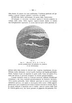 giornale/PAL0088018/1929/unico/00000427