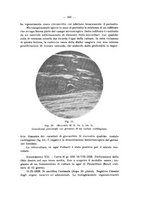 giornale/PAL0088018/1929/unico/00000445