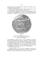 giornale/PAL0088018/1929/unico/00000446
