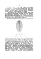 giornale/PAL0088018/1929/unico/00000447