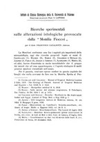 giornale/PAL0088018/1929/unico/00000461