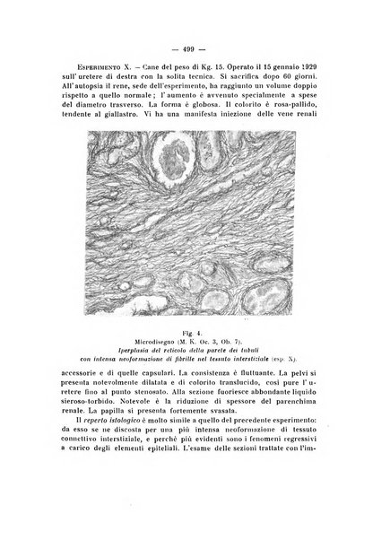 Annali di clinica medica e di medicina sperimentale