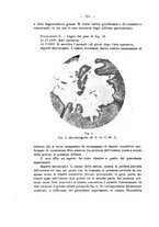 giornale/PAL0088018/1929/unico/00000618