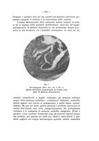 giornale/PAL0088018/1929/unico/00000659