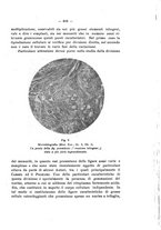 giornale/PAL0088018/1929/unico/00000663