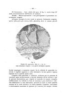 giornale/PAL0088018/1929/unico/00000709