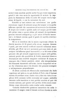 giornale/PAL0088022/1911/unico/00000215