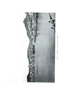 giornale/PUV0022017/1916/v.2/00000021