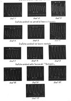 giornale/PUV0026701/1913/unico/00000071