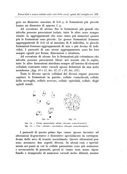 Note e riviste di psichiatria Manicomio provinciale di Pesaro