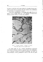 giornale/PUV0026701/1936/unico/00000316