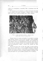 giornale/PUV0026701/1936/unico/00000318