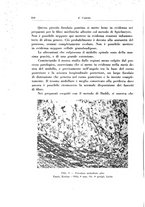 giornale/PUV0026701/1936/unico/00000320