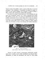 giornale/PUV0026701/1936/unico/00000321
