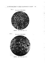 giornale/PUV0026701/1939/unico/00000303