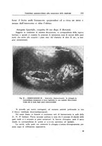 giornale/PUV0026701/1942/unico/00000273