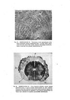 giornale/PUV0026701/1942/unico/00000281