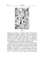 giornale/PUV0026701/1942/unico/00000382