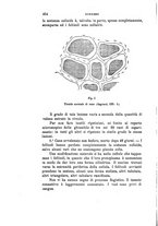 giornale/PUV0028278/1896/unico/00000502