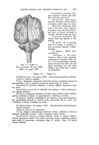 Rivista sperimentale di freniatria e medicina legale delle alienazioni mentali organo della Società freniatrica italiana