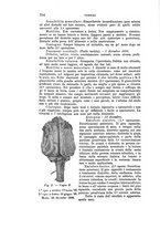 giornale/PUV0028278/1898/unico/00000730