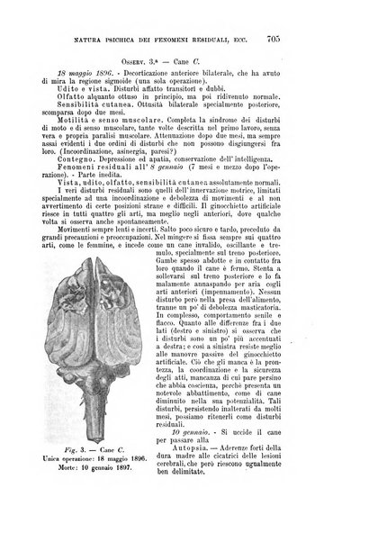 Rivista sperimentale di freniatria e medicina legale delle alienazioni mentali organo della Società freniatrica italiana