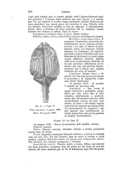 Rivista sperimentale di freniatria e medicina legale delle alienazioni mentali organo della Società freniatrica italiana