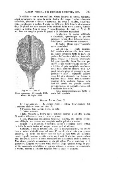 Rivista sperimentale di freniatria e medicina legale delle alienazioni mentali organo della Società freniatrica italiana