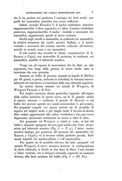 Rivista sperimentale di freniatria e medicina legale delle alienazioni mentali organo della Società freniatrica italiana