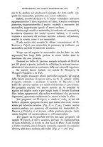 giornale/PUV0028278/1899/unico/00000017