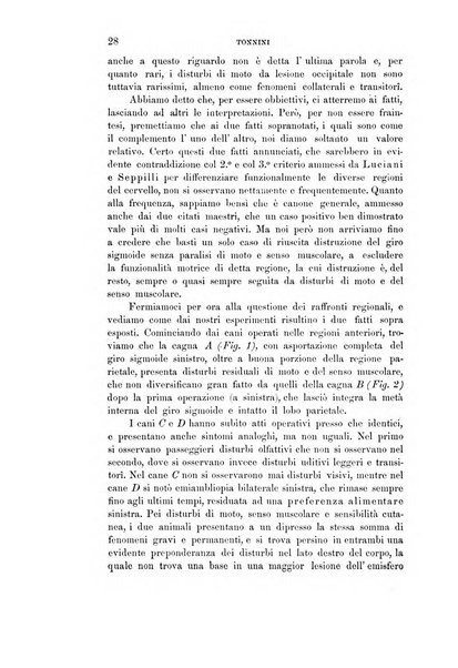 Rivista sperimentale di freniatria e medicina legale delle alienazioni mentali organo della Società freniatrica italiana