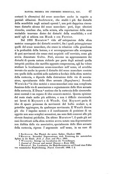 Rivista sperimentale di freniatria e medicina legale delle alienazioni mentali organo della Società freniatrica italiana