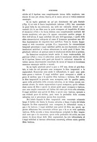 Rivista sperimentale di freniatria e medicina legale delle alienazioni mentali organo della Società freniatrica italiana