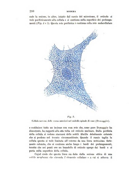 Rivista sperimentale di freniatria e medicina legale delle alienazioni mentali organo della Società freniatrica italiana