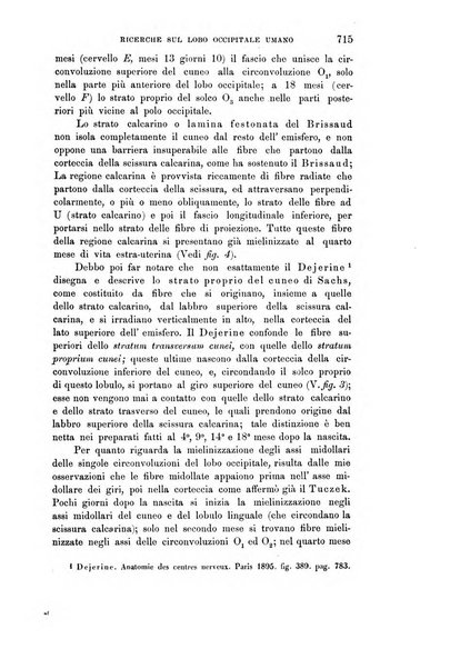 Rivista sperimentale di freniatria e medicina legale delle alienazioni mentali organo della Società freniatrica italiana