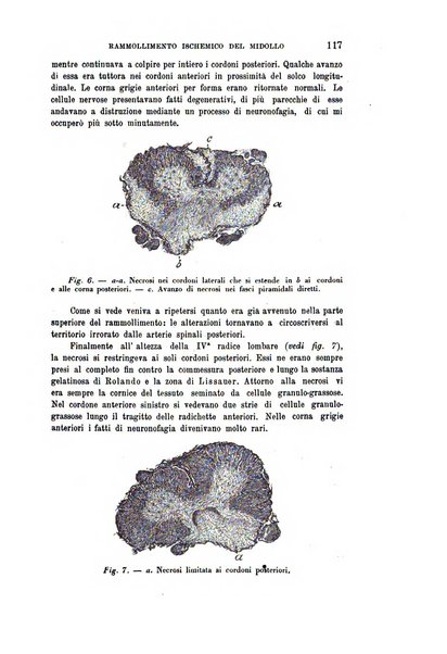 Rivista sperimentale di freniatria e medicina legale delle alienazioni mentali organo della Società freniatrica italiana