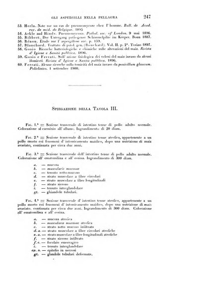 Rivista sperimentale di freniatria e medicina legale delle alienazioni mentali organo della Società freniatrica italiana