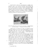 giornale/PUV0028278/1904/unico/00000012