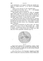 giornale/PUV0028278/1906/unico/00000812
