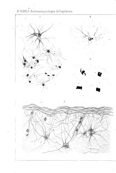 Rivista sperimentale di freniatria e medicina legale delle alienazioni mentali organo della Società freniatrica italiana