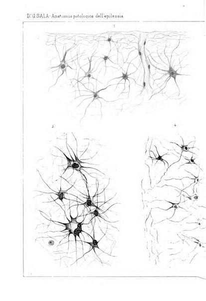 Rivista sperimentale di freniatria e medicina legale delle alienazioni mentali organo della Società freniatrica italiana