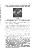 giornale/PUV0028278/1908/unico/00000041