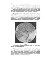 giornale/PUV0028278/1908/unico/00000044