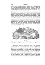 giornale/PUV0028278/1908/unico/00000362