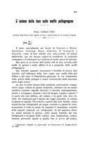 giornale/PUV0028278/1910/unico/00000219
