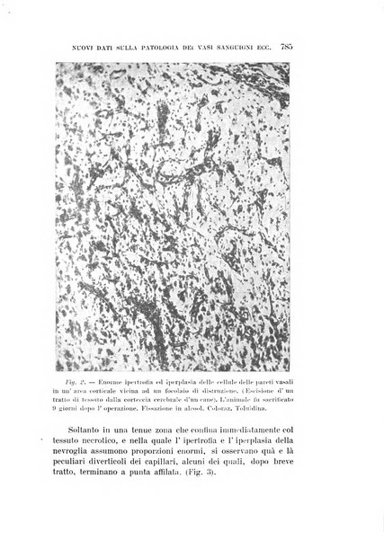 Rivista sperimentale di freniatria e medicina legale delle alienazioni mentali organo della Società freniatrica italiana