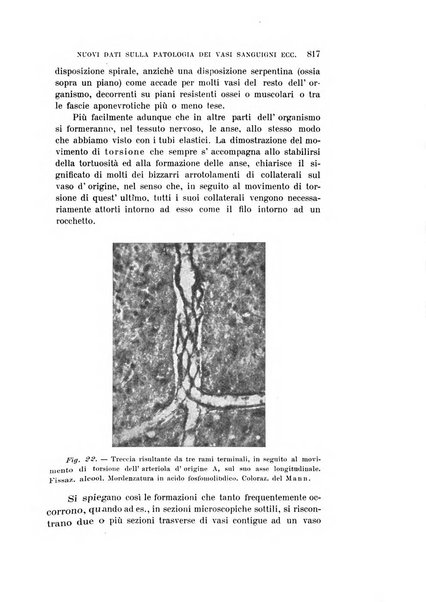 Rivista sperimentale di freniatria e medicina legale delle alienazioni mentali organo della Società freniatrica italiana