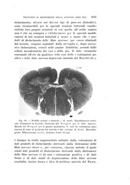 Rivista sperimentale di freniatria e medicina legale delle alienazioni mentali organo della Società freniatrica italiana