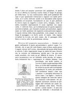 giornale/PUV0028278/1912/unico/00000334